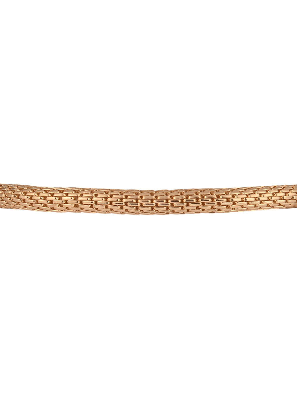 Goldtone Chain with Amethyst "February" Bracelet